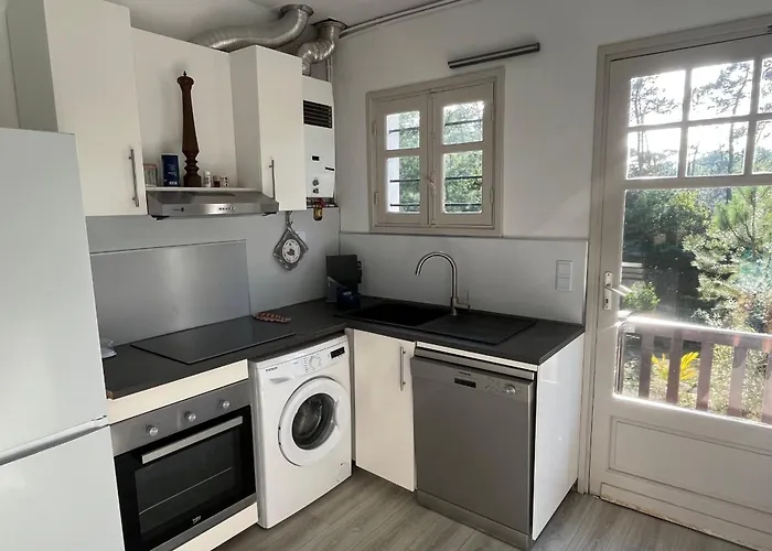 Maison Landaise Avec Jardin Au Coeur Des Abatilles, Proche Golf Et Plages - - Fr-1-319-383 *