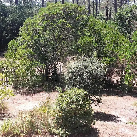 Holiday home Maison Landaise Avec Jardin Au Coeur Des Abatilles, Proche Golf Et Plages - - Fr-1-319-383 *