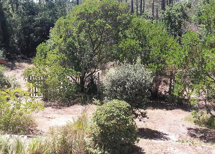 Holiday home Maison Landaise Avec Jardin Au Coeur Des Abatilles, Proche Golf Et Plages - - Fr-1-319-383 *